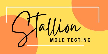 Stallion Mold Testing - Mold Remediation Services